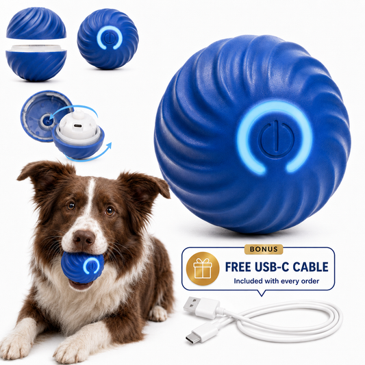 Pawzy™ Interactive Pet Ball