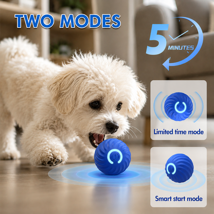 Pawzy™ Interactive Pet Ball