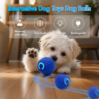 Pawzy™ Interactive Pet Ball